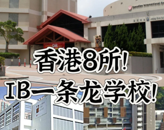 香港IB一條龍學校，僅此8所！